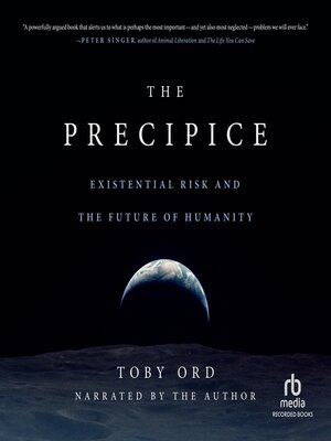 cover image of The Precipice